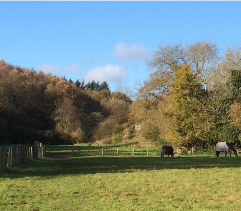 Alvington Woodmill Farm Cottage מראה חיצוני תמונה
